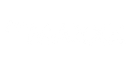 Logo RFM MAXXX