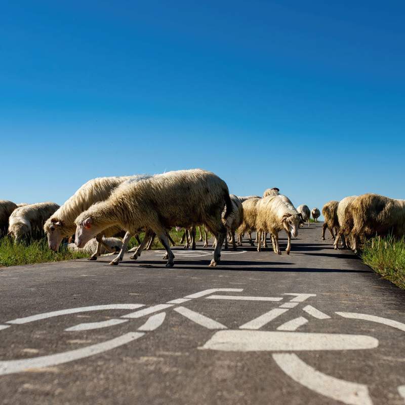 Ścieżki rowerowe na terenie Małopolski - zdjęcie ilustracyjne