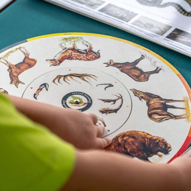 Małopolska Tour 2024 - Klucze - zdjęcie z wydarzenia