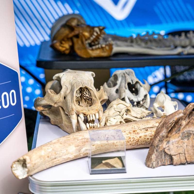 Małopolska Tour 2025 - Trzebinia - zdjęcie z wydarzenia