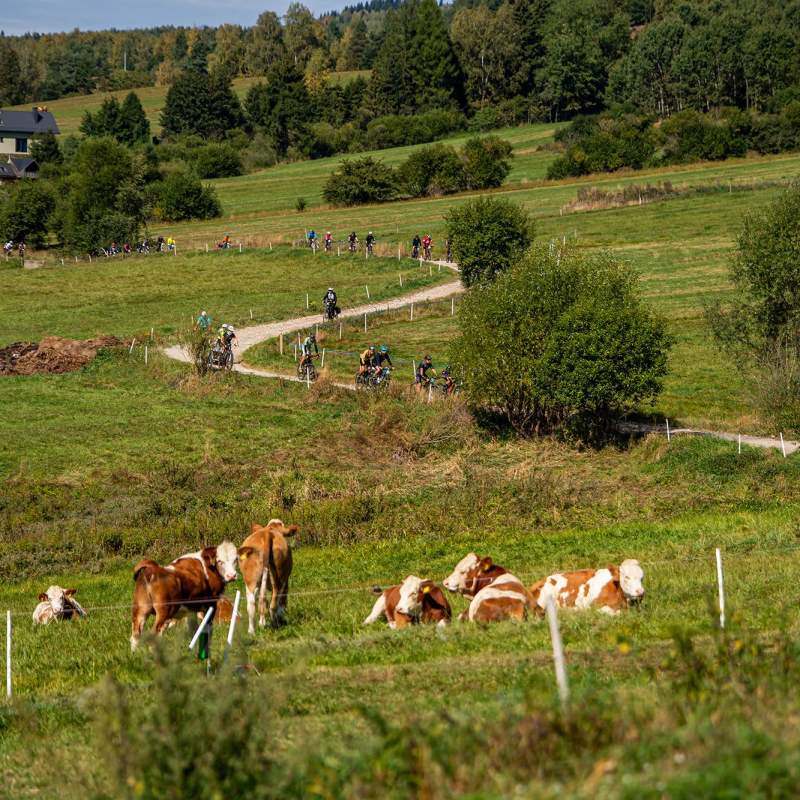 Małopolska Tour 2026 - Nowy Targ - zdjęcie z wydarzenia